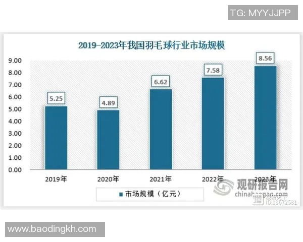 北京羽毛球队的崛起与发展：聚焦羽毛球运动的力量与未来